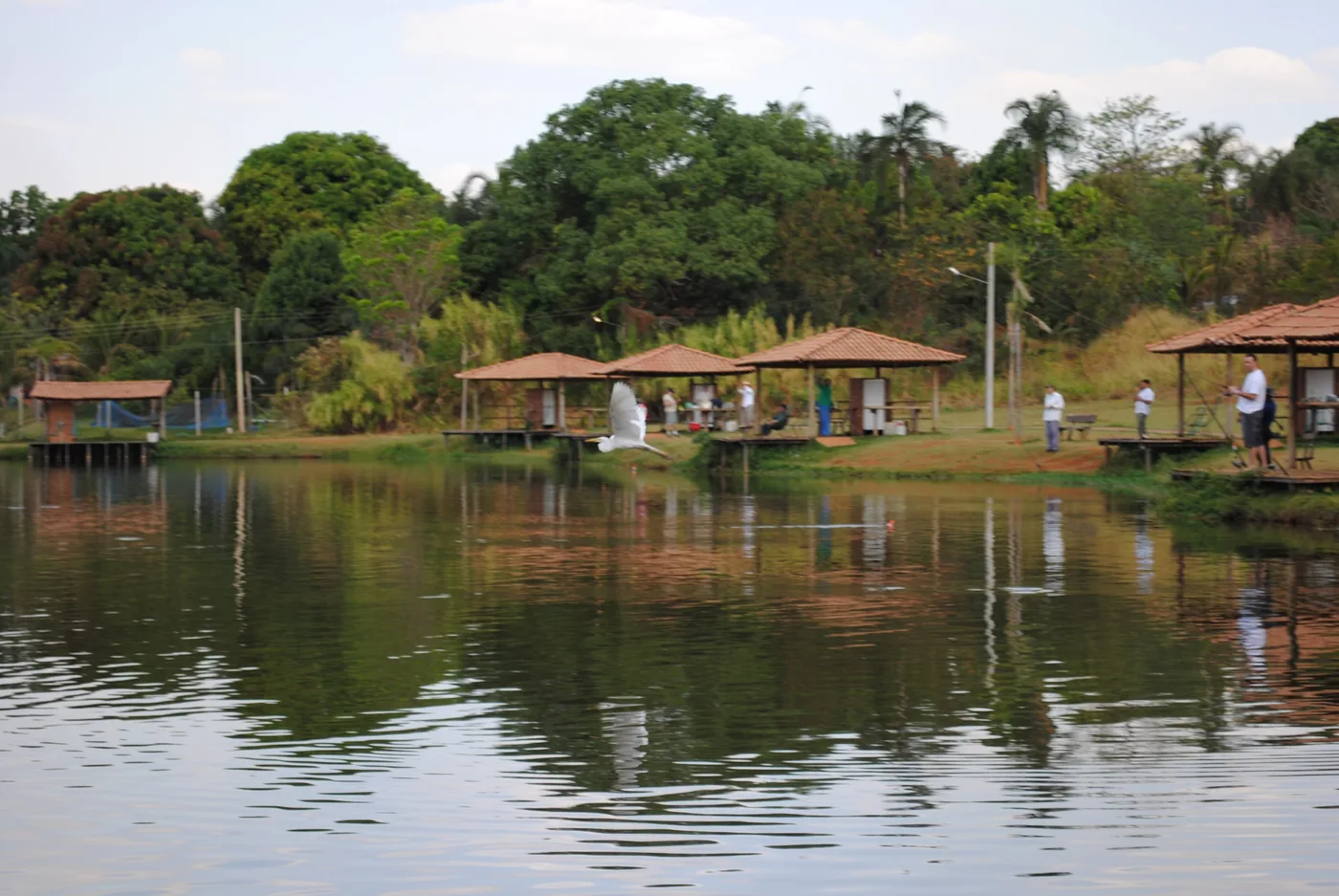 Pesqueiro com quiosques à beira do lago