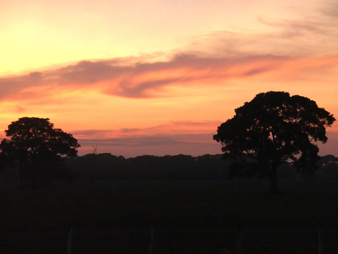 Pousada no Pantanal ao amanhecer